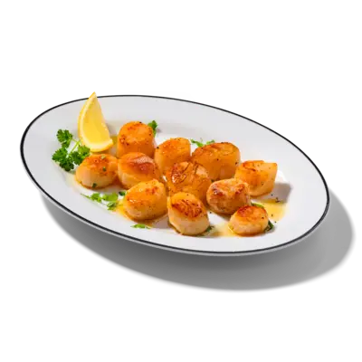 pdp-image-AH Excellent Coquilles