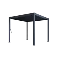 Orion Eco terrasoverkapping 300x300cm