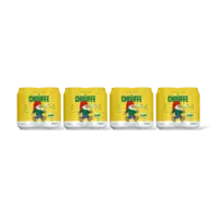 La Chouffe Blond 16-pack