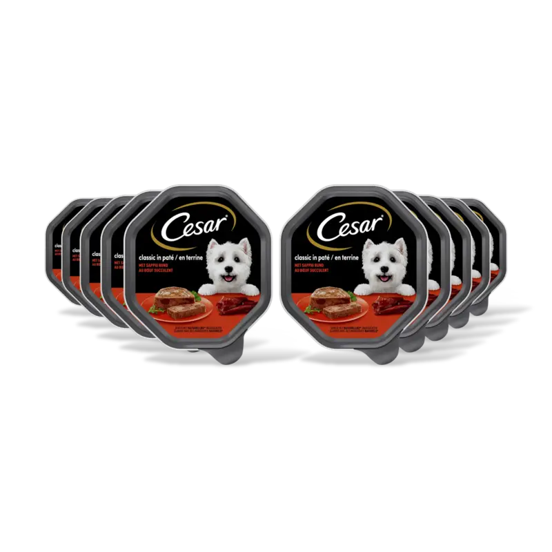 Classic met rund 10-pack