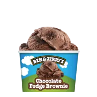 Ben & Jerry's Chocolate fudge brownie