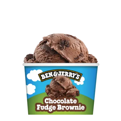 pdp-image-Ben & Jerry's Chocolate fudge brownie