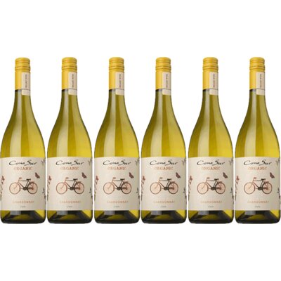 pdp-image-Cono Sur Chardonnay bio 6 flessen