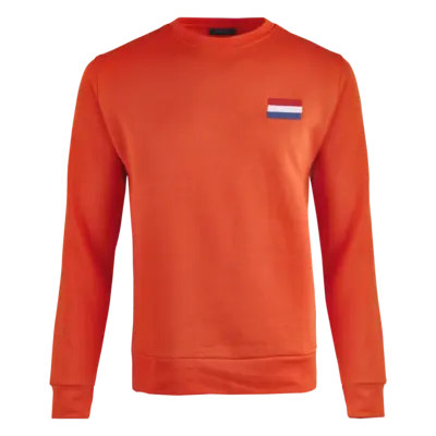 pdp-image-AH Oranje trui maat L