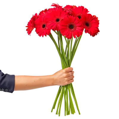 pdp-image-AH Gerbera rood