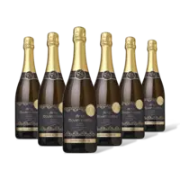 AH Excellent AH Excl. Cava Reserva Brut 6 flessen