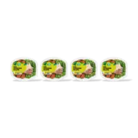 AH Terra Plantaardig maaltijdsalade couscous 4pck