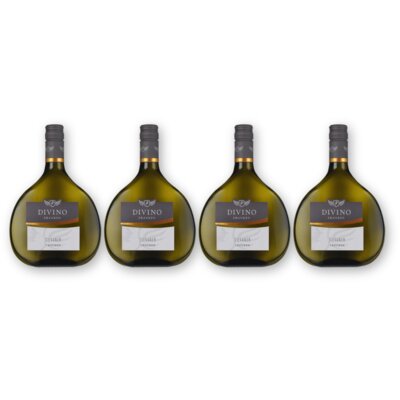 pdp-image-Divino Nordheim Silvaner 4 flessen