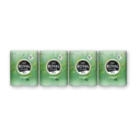 Royal Club Ginger ale 0% 16-pack