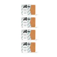 Streeckgenoten Varkenshaas in satÃ©saus 4-pack
