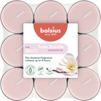 Een afbeelding van Bolsius True scents geurtheelichten magnolia