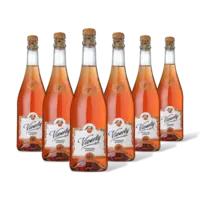 Viverty Orange Spritz 6 flessen