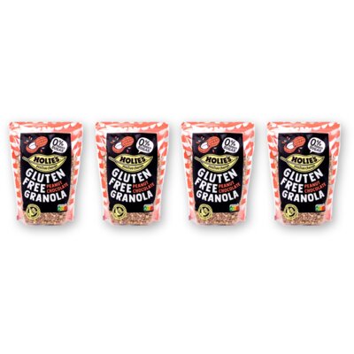 pdp-image-Holie's Granola peanut choco glutenfree 4-pack