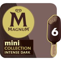 Een afbeelding van Magnum Mini intense dark