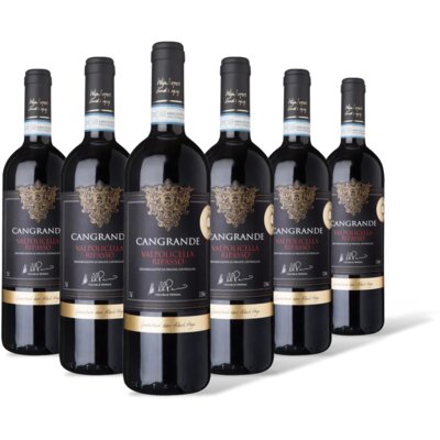 pdp-image-AH Excellent Selectie Valpolicella Ripasso 6 flessen