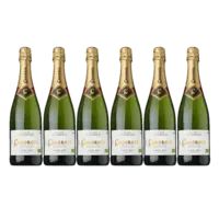 Codorníu Clasico semi sec organic 6 flessen