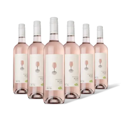 pdp-image-AH Biologisch Rosé 6 flessen
