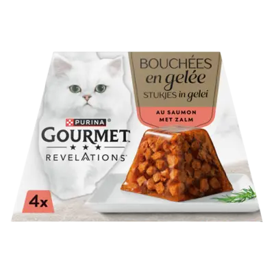 pdp-image-Gourmet Revelations stukjes in gelei met zalm
