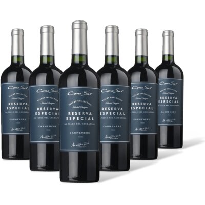 pdp-image-Cono Sur Reserva Carménère 6 flessen