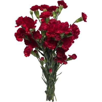 pdp-image-AH Gemengde trosanjers