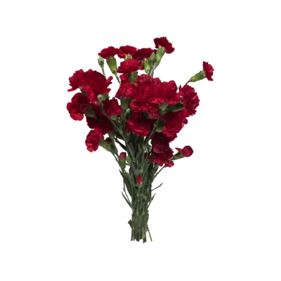 pdp-image-AH Trosanjers