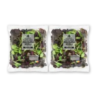 AH Jonge bladsla veldsla kleinverpak 2-pack