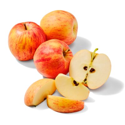 pdp-image-AH Biologisch Gala schaal