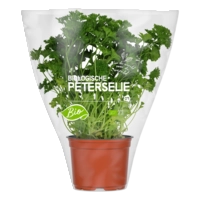 AH Biologisch Peterselie pot