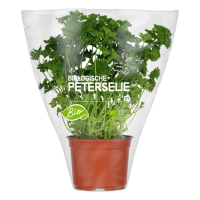 pdp-image-AH Biologisch Peterselie pot