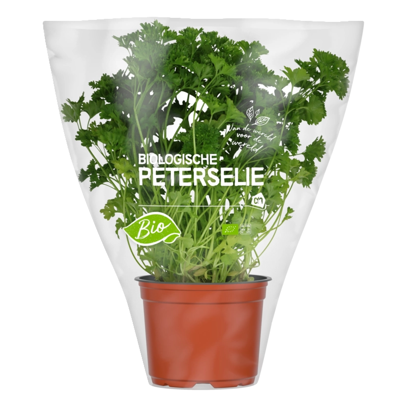Peterselie pot
