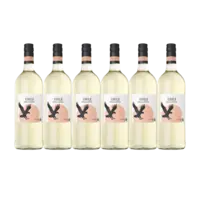 AH Fris & droge Chileense wijn wit 6-pack