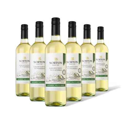 pdp-image-Norton Colección grüner veltliner 6 flessen