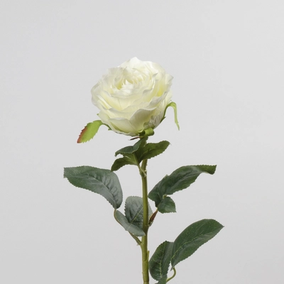 pdp-image-Roos wit 68cm