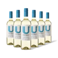 Undurraga Sauvignon blanc 6 flessen