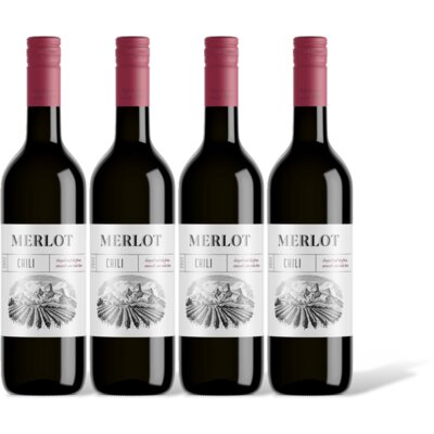 pdp-image-AH Merlot 4 flessen