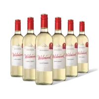 Welmoed Pinot grigio 6 flessen