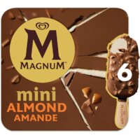 Een afbeelding van Magnum Mini almond