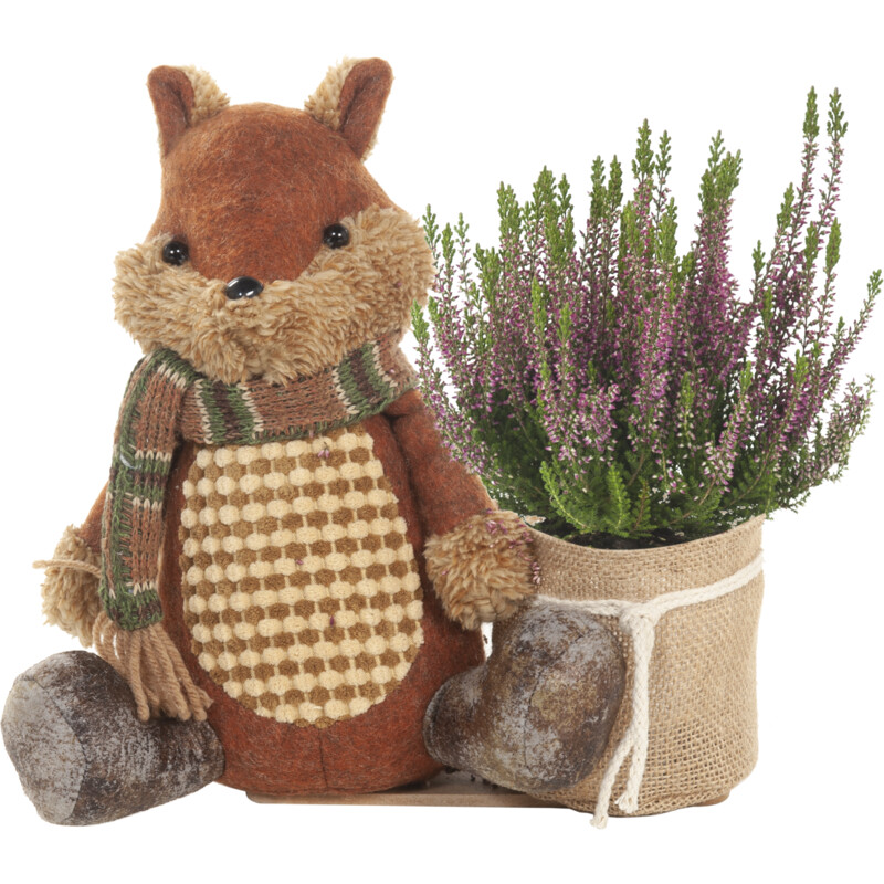 Een afbeelding van AH Eekhoorn met heide