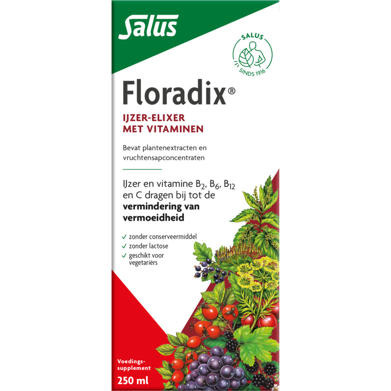 Een afbeelding van Floradix Vloeibaar ijzer-elixir met vitamines