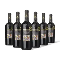 Ulisse Montepulciano d'abruzzo 6 flessen