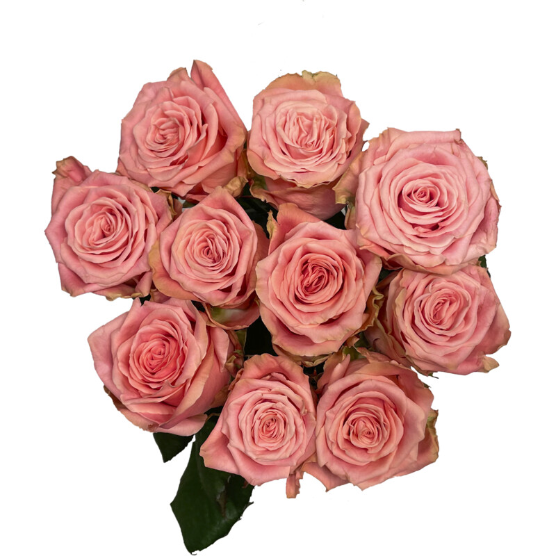 Een afbeelding van AH Hollandse rozenmix