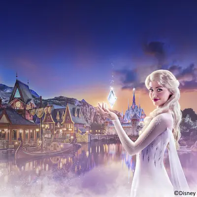 pdp-image-Disney 6 personen categorie d