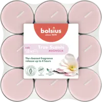 Bolsius True scents geurtheelichten magnolia