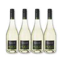 Galilei Hugo 4 flessen