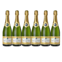 Diane de Frion Champange brut 6 flessen