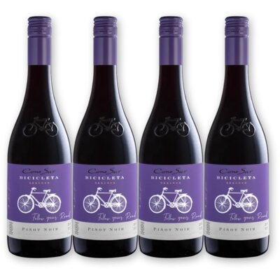 pdp-image-Cono Sur Bicicleta Pinot Noir 4 flessen