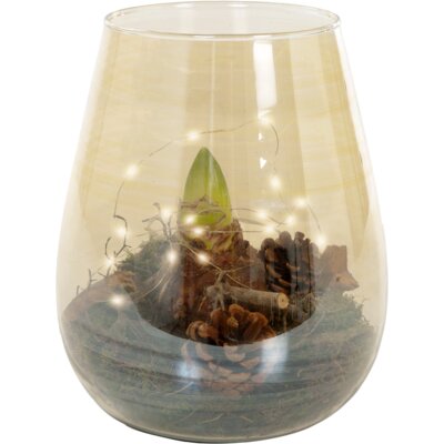 pdp-image-AH Amaryllis in vaas goud