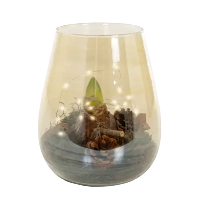 pdp-image-AH Amaryllis in vaas goud