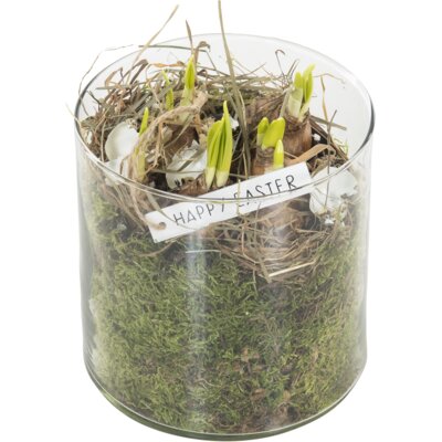 pdp-image-AH Paasarrangement cilinderglas met narcis