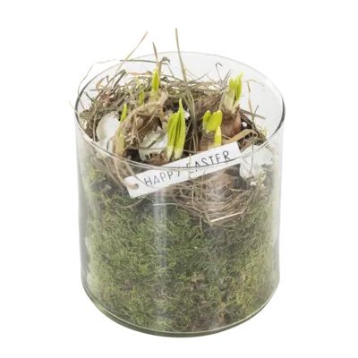 pdp-image-AH Paasarrangement cilinderglas met narcis